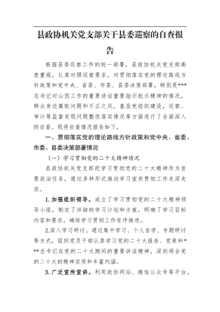 县政协机关党支部关于县委巡察的自查报告.docx