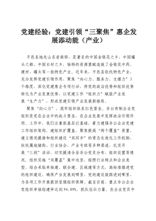党建经验：党建引领“三聚焦”惠企发展添动能（产业）.docx