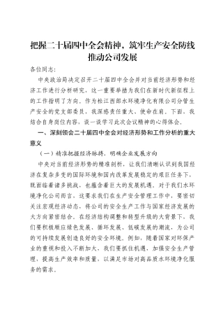 分管安全的党支部委员关于《决定召开二十届四中全会 分析研究当前经济形势和经济工作》的主题交流发言材料.docx