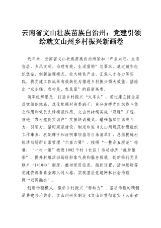云南省文山壮族苗族自治州：党建引领绘就文山州乡村振兴新画卷.docx