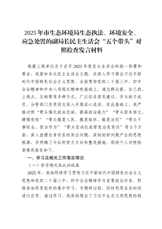 2025年市生态环境局生态执法、环境安全、应急处置的副局长民主生活会“五个带头”对照检查发言材料.docx