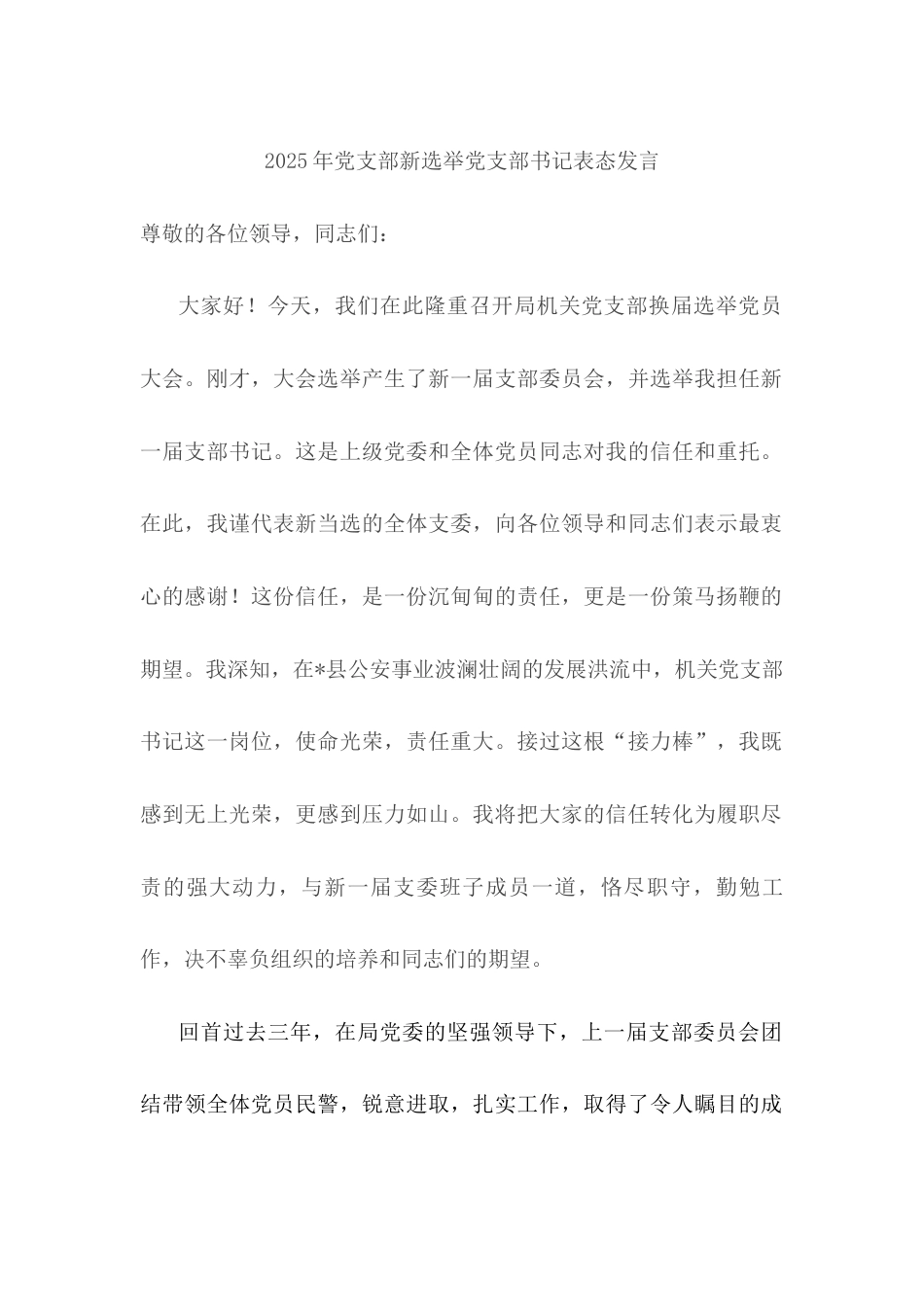 2025年党支部新选举党支部书记表态发言.docx_第1页
