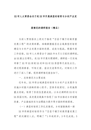 XX市人大常委会关于赴XX市开展典型村培育与乡村产业发展情况的调研报告（精品）.docx