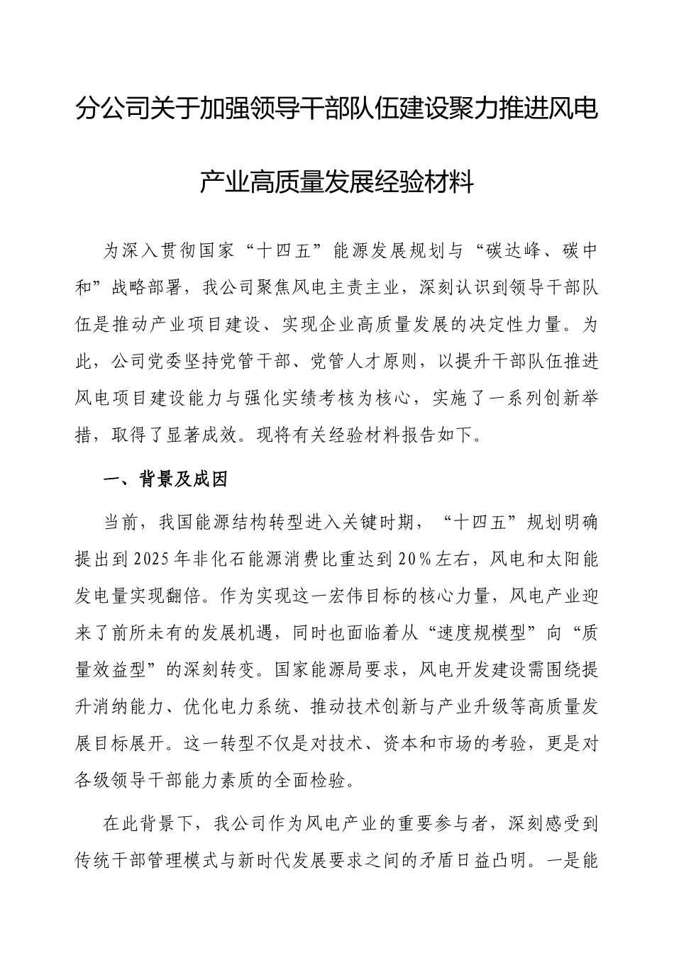 经验交流：加强领导干部队伍建设，聚力推进风电产业高质量发展（分公司）.docx_第1页