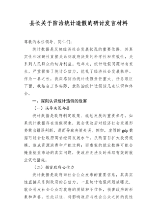 县长关于防治统计造假的研讨发言材料.docx