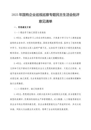2025年国有企业巡视巡察专题民主生活会批评意见清单.doc