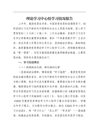 2025年上半年理论学习中心组学习情况总结报告（公司）.doc