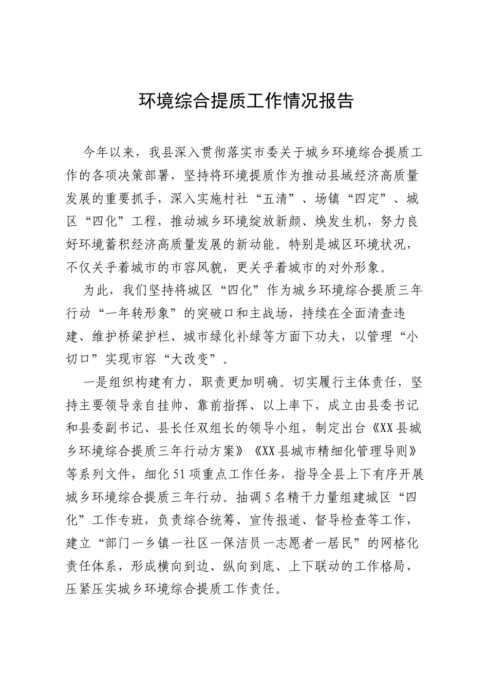 环境提质工作报告.docx_第1页