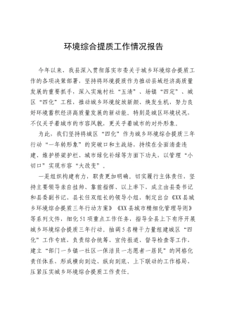 环境提质工作报告.docx