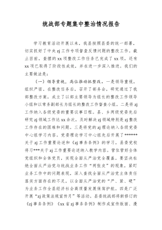 统战部专题集中整治情况报告.docx