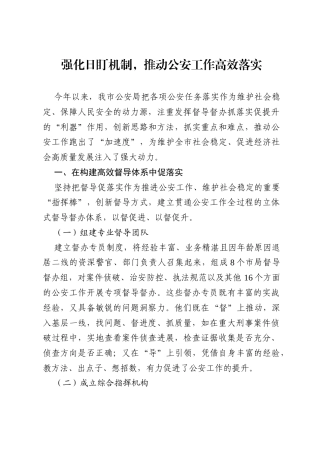 公安局2025年日盯办工作经验交流发言材料.docx