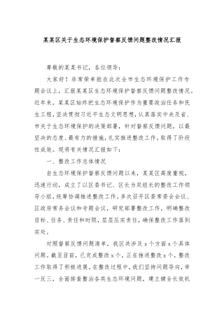 区生态环境保护督察反馈问题整改情况汇报.doc