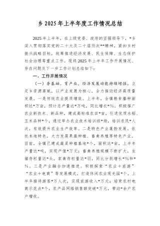 乡2025年上半年度工作情况总结.docx
