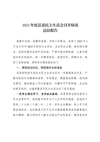 2025年度县委民主生活会召开情况总结报告(4010字).docx