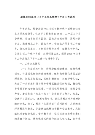 城管局2025年上半年工作总结和下半年工作计划.doc