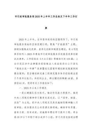 市行政审批服务局2025年上半年工作总结及下半年工作打算.doc