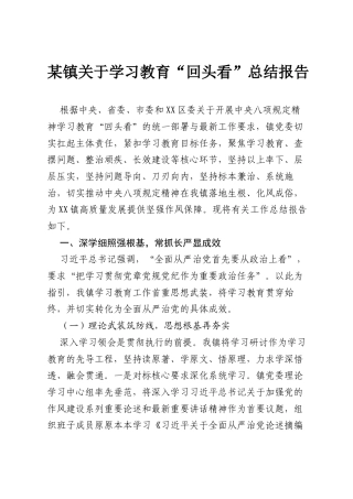 某镇关于学习教育“回头看”总结报告.docx