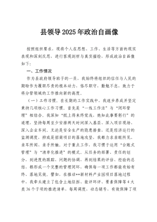 县领导2025年政治自画像.docx