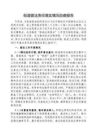 街道普法责任落实情况自查报告.doc