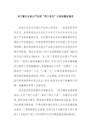 履行全面从严治党“两个责任”方面的整改情况.doc
