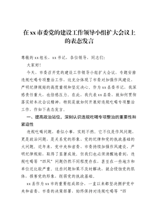 在xx市委党的建设工作领导小组扩大会议上的表态发言.docx