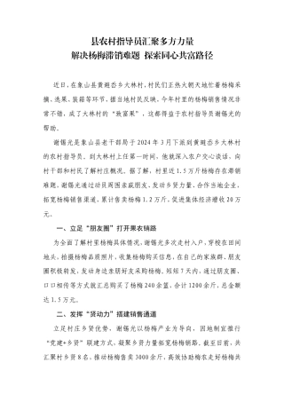 县农村指导员汇聚多方力量解决杨梅滞销难题探索同心共富路径（改）.doc