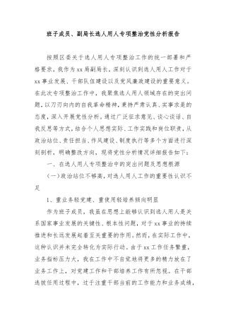 班子成员、副局长选人用人专项整治党性分析报告.doc