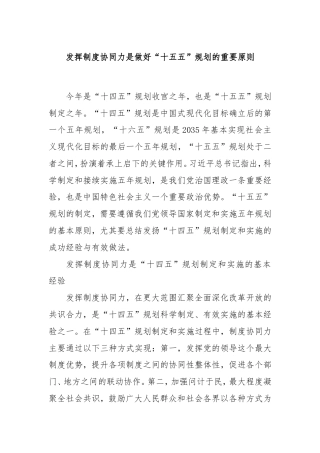 发挥制度协同力是做好“十五五”规划的重要原则.doc