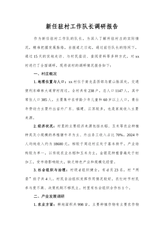 新任驻村工作队长调研报告.docx