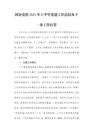 国企党组2025年上半年党建工作总结及下一步工作打算.doc