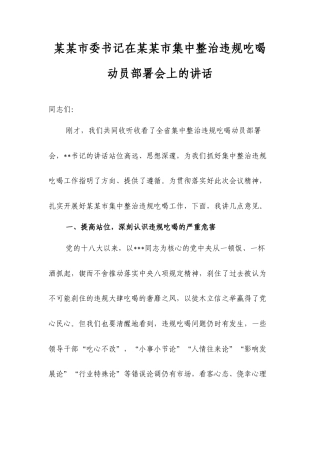 某某市委书记在某某市集中整治违规吃喝动员部署会上的讲话.docx