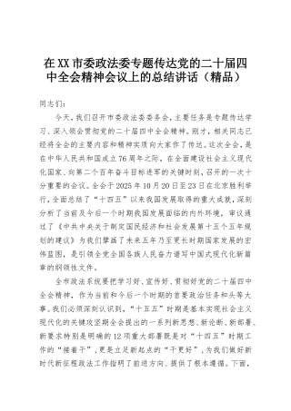 在XX市委政法委专题传达党的二十届四中全会精神会议上的总结讲话.doc