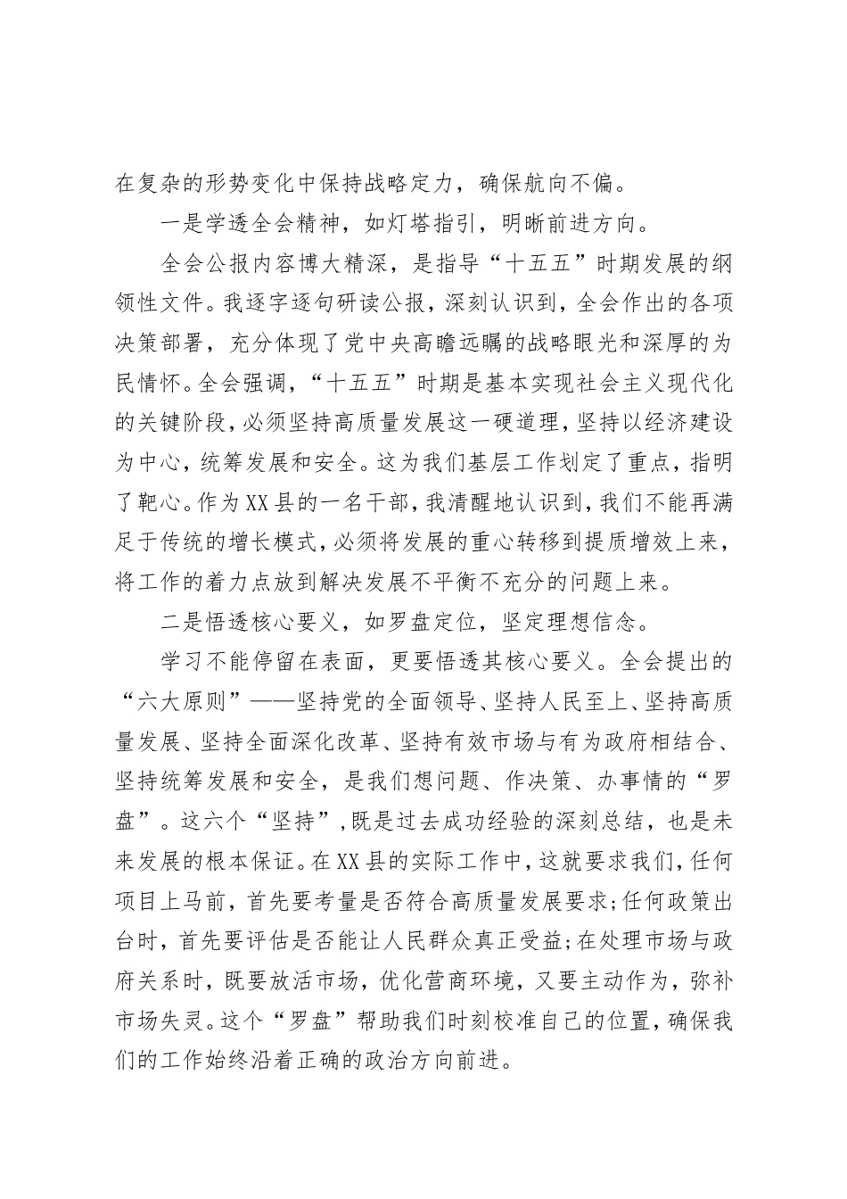 政府副县长学习党的二十届四中全会精神心得.doc_第2页