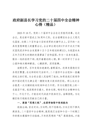 政府副县长学习党的二十届四中全会精神心得.doc