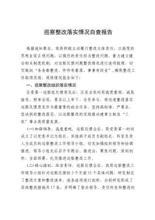 巡察整改落实情况自查报告.docx