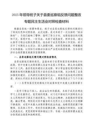 2025年县委巡察反馈问题整改专题民主生活会对照检查材料（领导班子）.docx