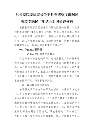 2025年县委巡察反馈问题整改专题民主生活会个人对照检查材料（县检察院副检察长）.docx