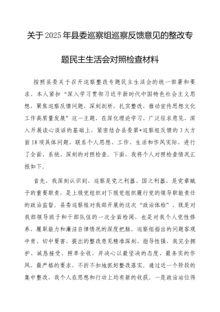 2025年县委巡察反馈意见整改专题民主生活会对照检查材料（县委宣传部常务副部长）.docx