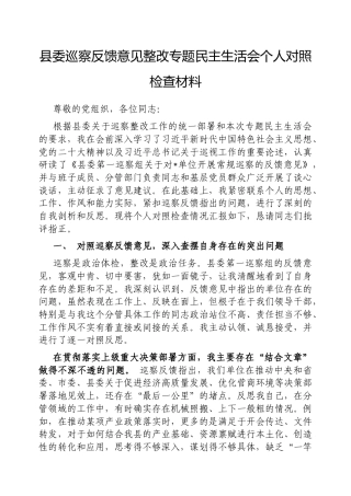 2025年县委巡察反馈意见整改专题民主生活会个人对照检查材料（市直单位负责人）.docx