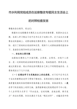 2025年巡察整改专题民主生活会对照检查发言（市水利局党组成员）.docx