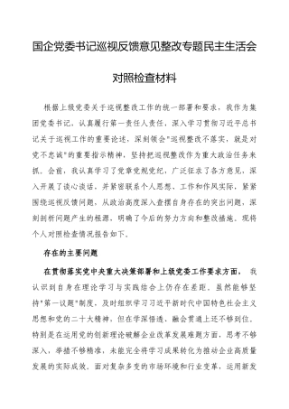 2025年巡视反馈意见整改专题民主生活会个人对照检查材料（国企党委书记）.docx