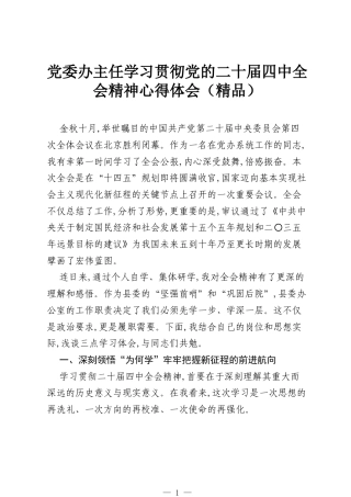 党委办主任学习贯彻党的二十届四中全会精神心得体会（精品）.docx