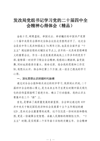 发改局党组书记学习党的二十届四中全会精神心得体会（精品）.docx