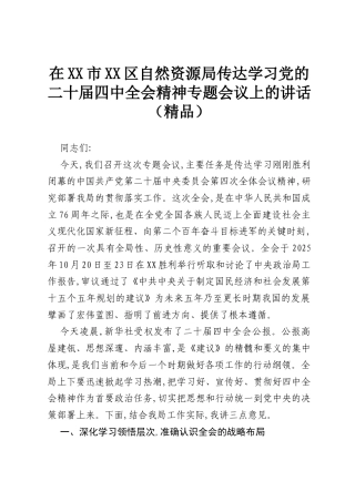 在XX市XX区自然资源局传达学习党的二十届四中全会精神专题会议上的讲话（精品）.docx
