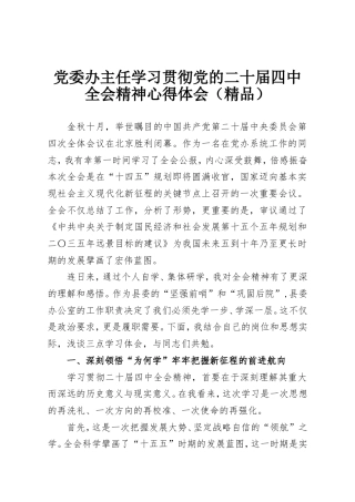党委办主任学习贯彻党的二十届四中全会精神心得体会（精品）.doc