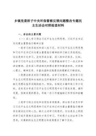乡镇党委班子中央环保督察反馈问题整改专题民主生活会对照检查材料.docx
