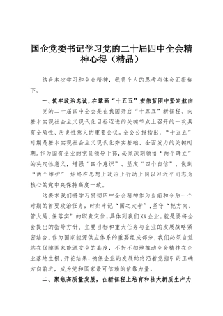 国企党委书记学习党的二十届四中全会精神心得.doc