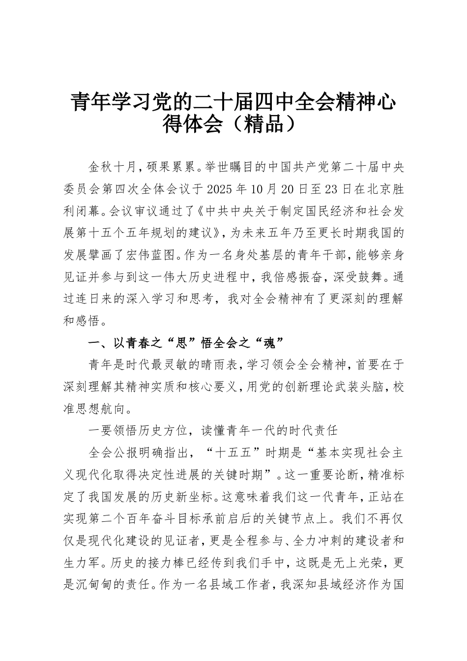 青年学习党的二十届四中全会精神心得体会.doc_第1页