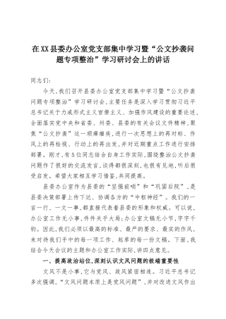 在XX县委办公室党支部集中学习暨“公文抄袭问题专项整治”学习研讨会上的讲话.docx