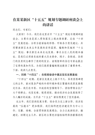 在某某新区“十五五”规划专题调研座谈会上的讲话.docx